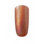 Pigment Holografic Effect 1gr pentru Gel UV sau Acril, HE06 + 1 aplicator Pigment Holografic Effect 1gr pentru Gel UV sau Acril, HE06 + 1 aplicator